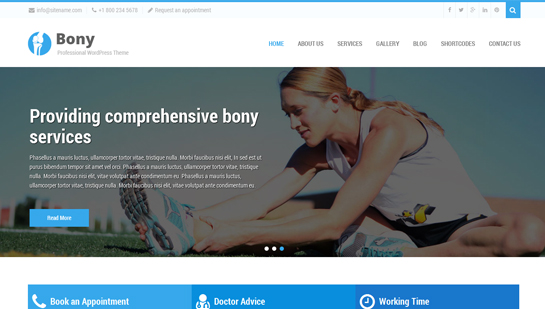 Bony - Professional WordPress Theme